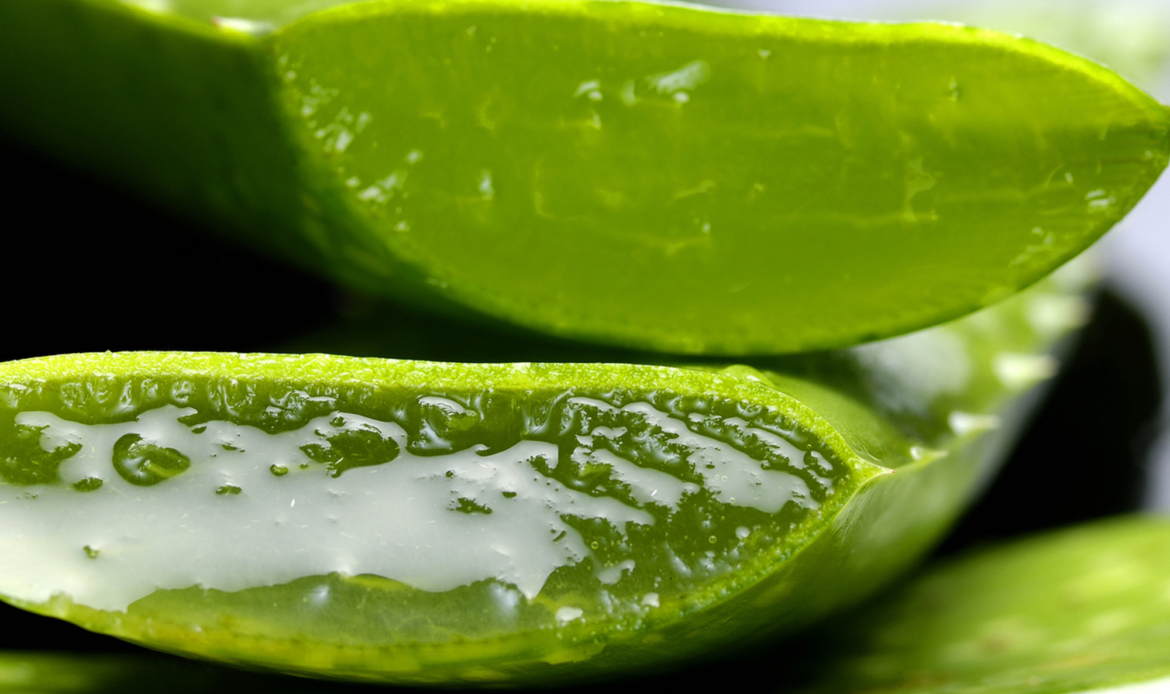 Ebanonatur se consolida como una tienda online de referencia en la venta de cosméticos elaborados a base de aloe vera