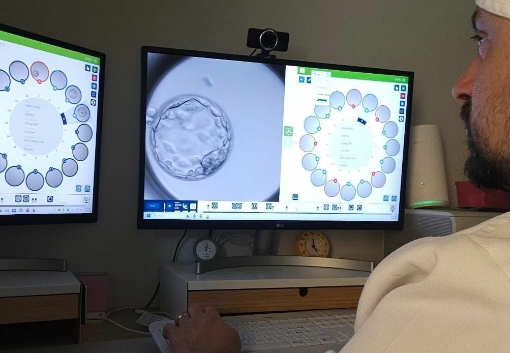 Un modelo de IA prevé con acierto del 82% el desarrollo de embriones con técnicas de reproducción asistida
