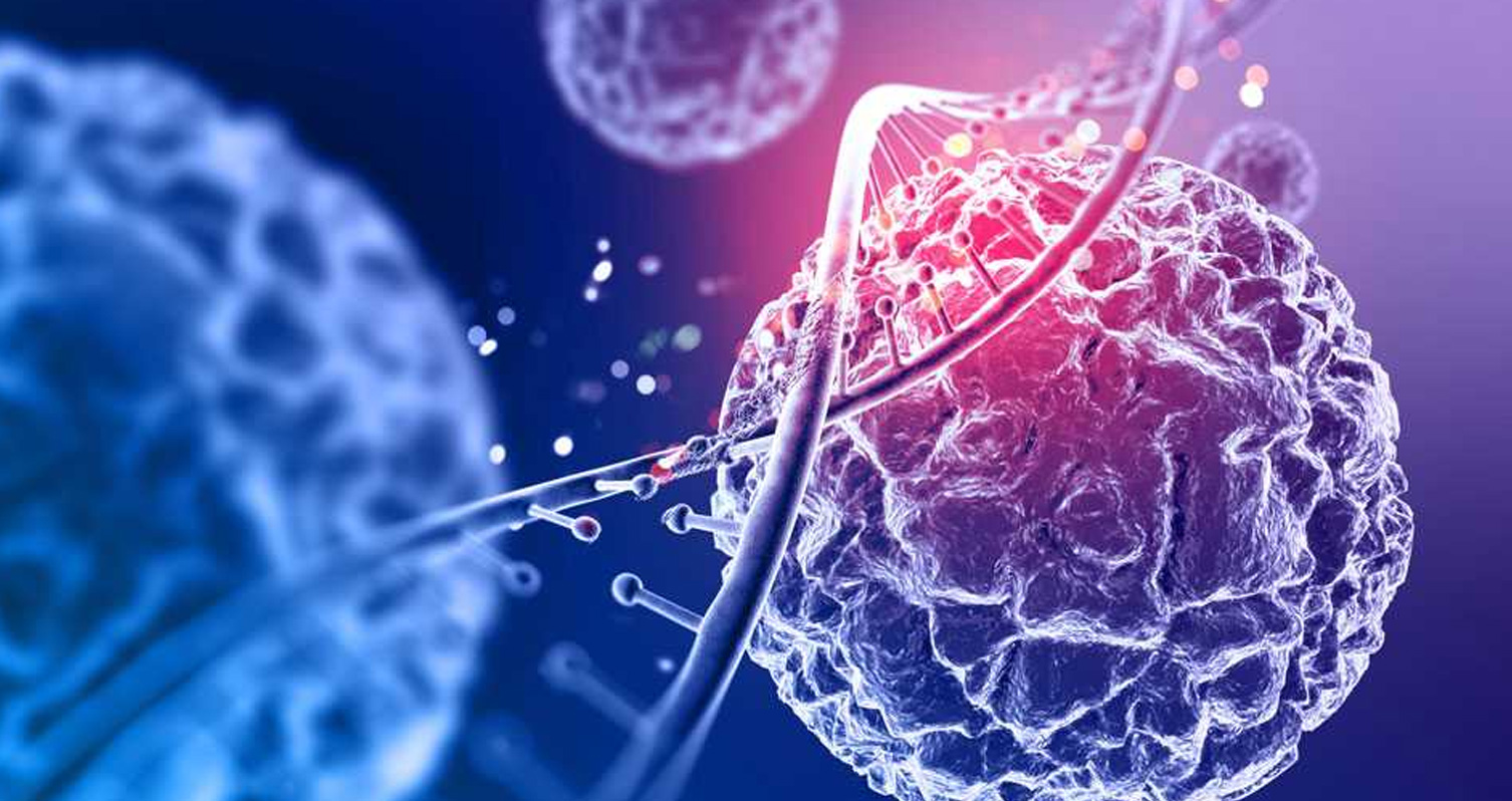 Concepto científico y origen biológico de los exosomas Concepto científico y origen biológico de los exosomas